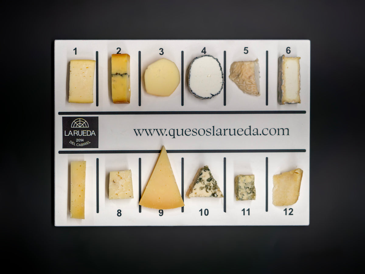 Cata de quesos